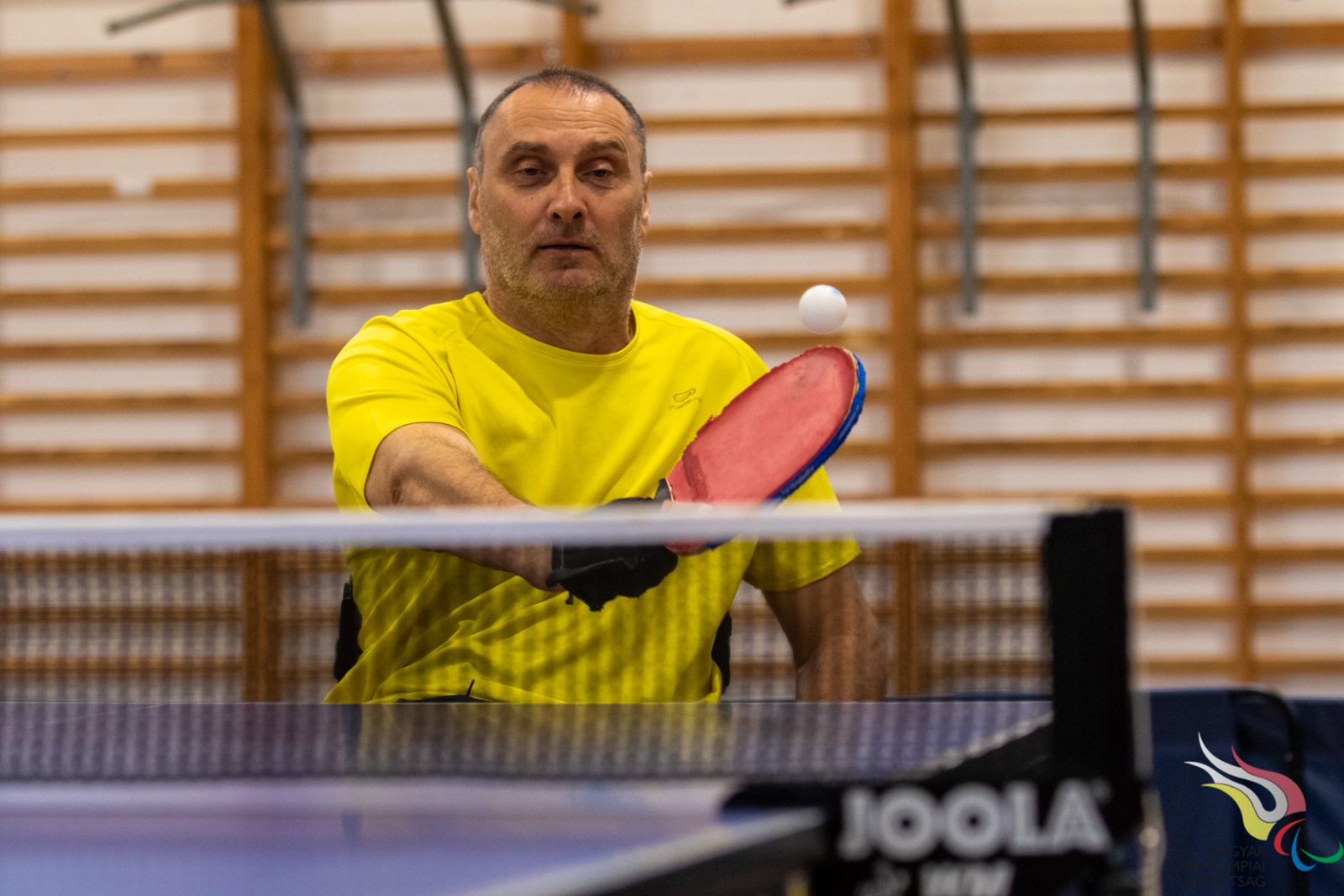 Major Endre: A versenyek hiánya jelentős hátrány számomra, de más sportolók is ugyan ebben a hajóban eveznek. Major Endre: A versenyek hiánya jelentős hátrány számomra, de más sportolók is ugyan ebben a hajóban eveznek.